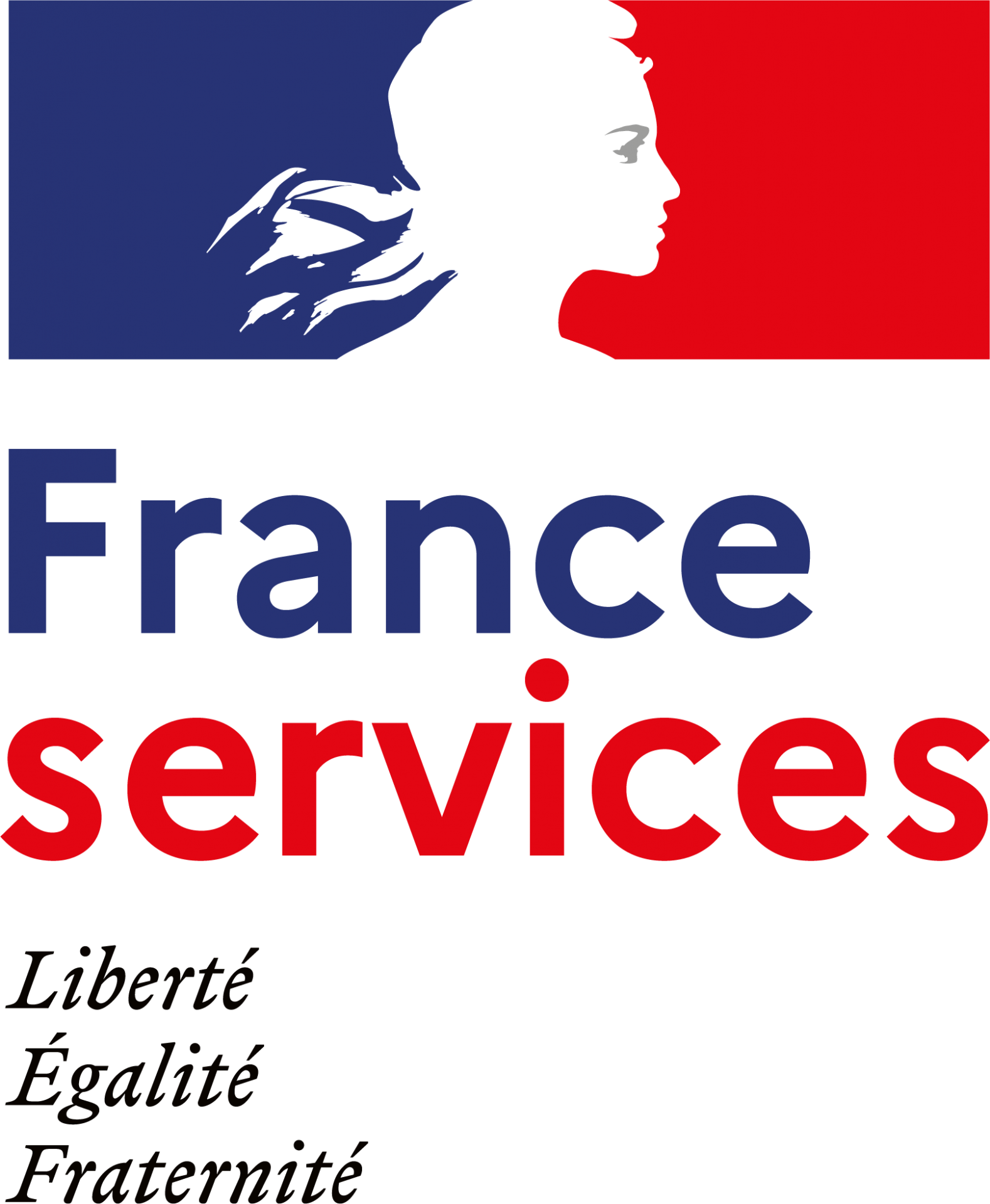 Logo franceservices 01