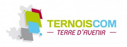 Logo ternoiscom